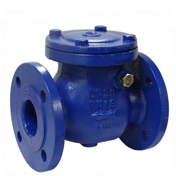 Gi non return valve 4"