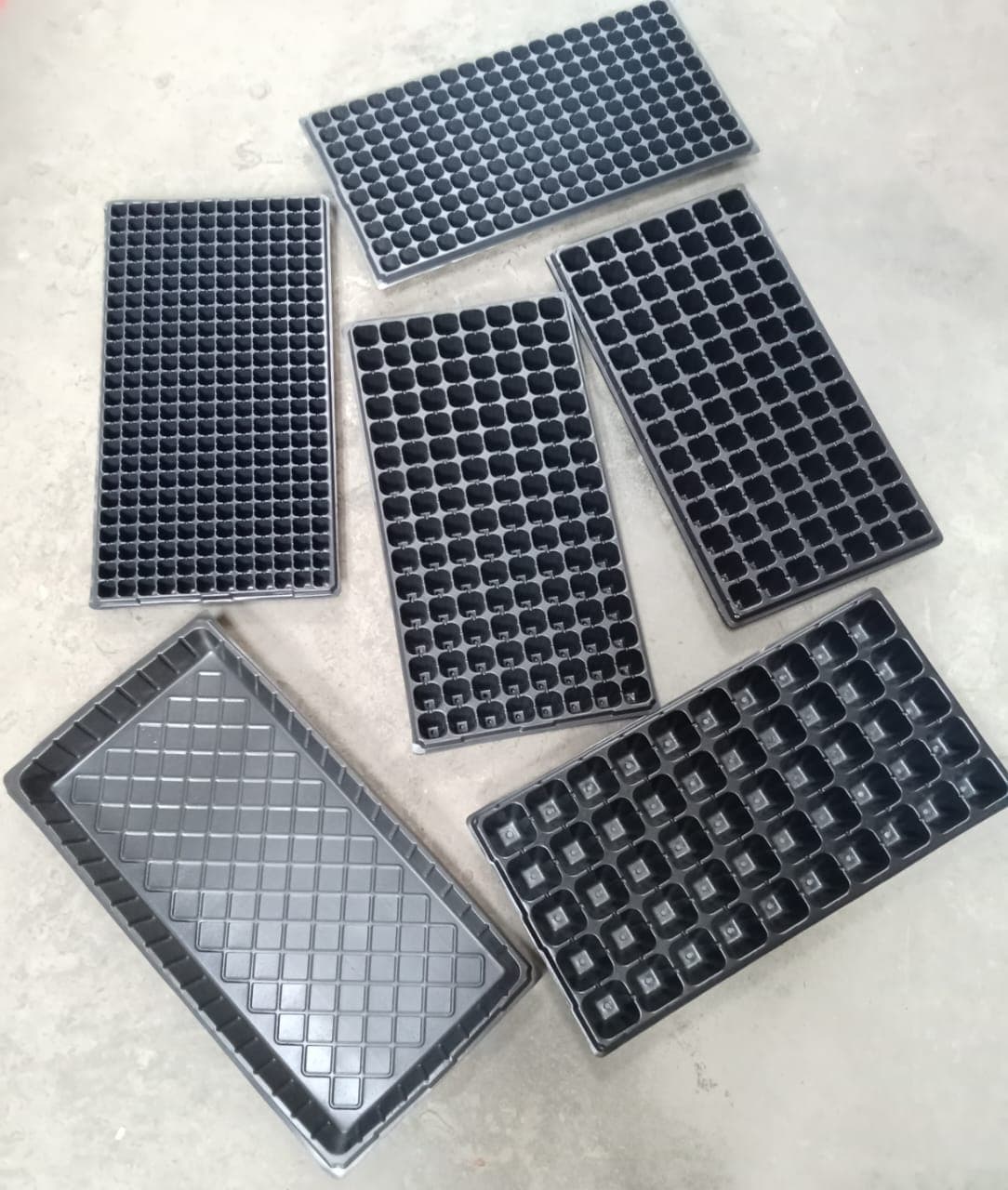 Seedling trays
