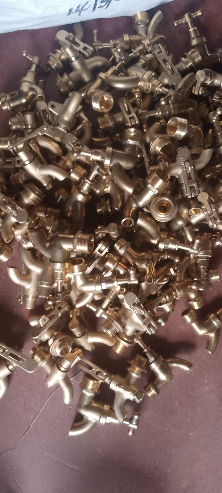 Gi bip tap ½"